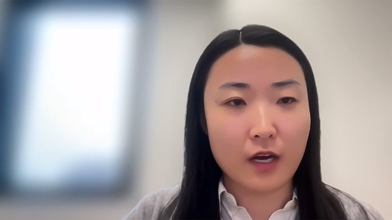 Discovering and Controlling AI Safety Risks in Foundation Models: A Probabilistic Perspective