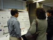 Poster Session