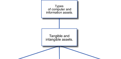 types of computer and information assets:
