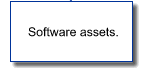 software assets